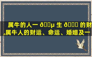属牛的人一 🌵 生 🐎 的财运,属牛人的财运、命运、婚姻及一生概况